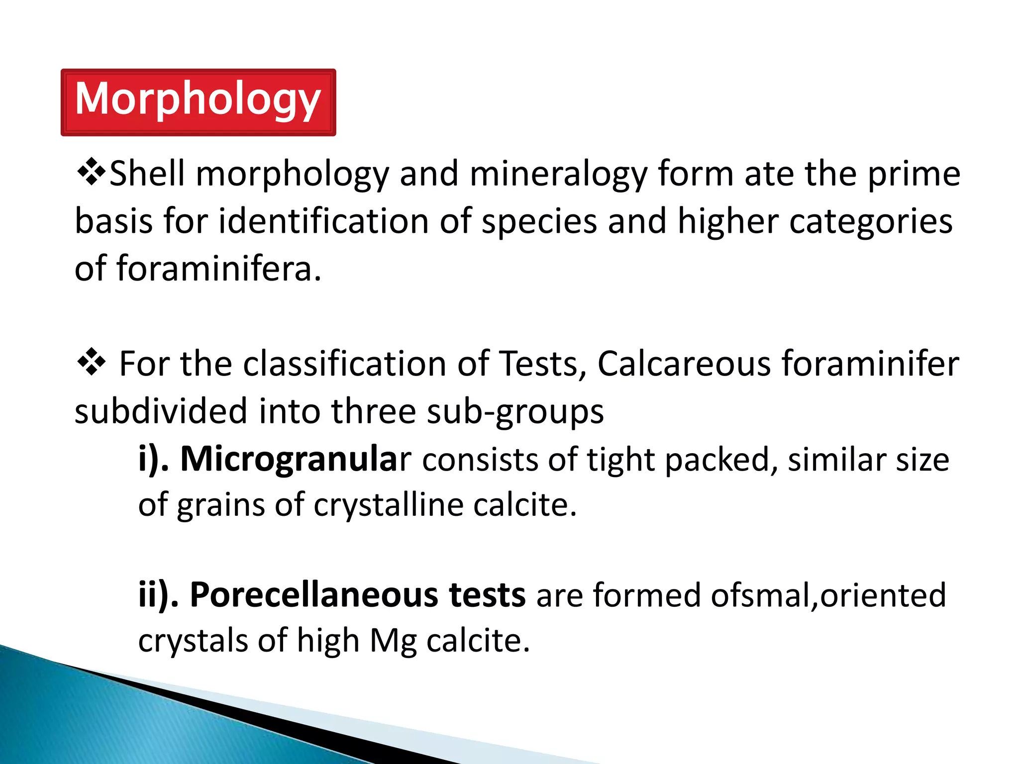 Morphology
Shell morphology and mineralogy form ate the prime
basis for identification of species and higher categories
of foraminifera.
 For the classification of Tests, Calcareous foraminifer
subdivided into three sub-groups
i). Microgranular consists of tight packed, similar size
of grains of crystalline calcite.
ii). Porecellaneous tests are formed ofsmal,oriented
crystals of high Mg calcite.
 