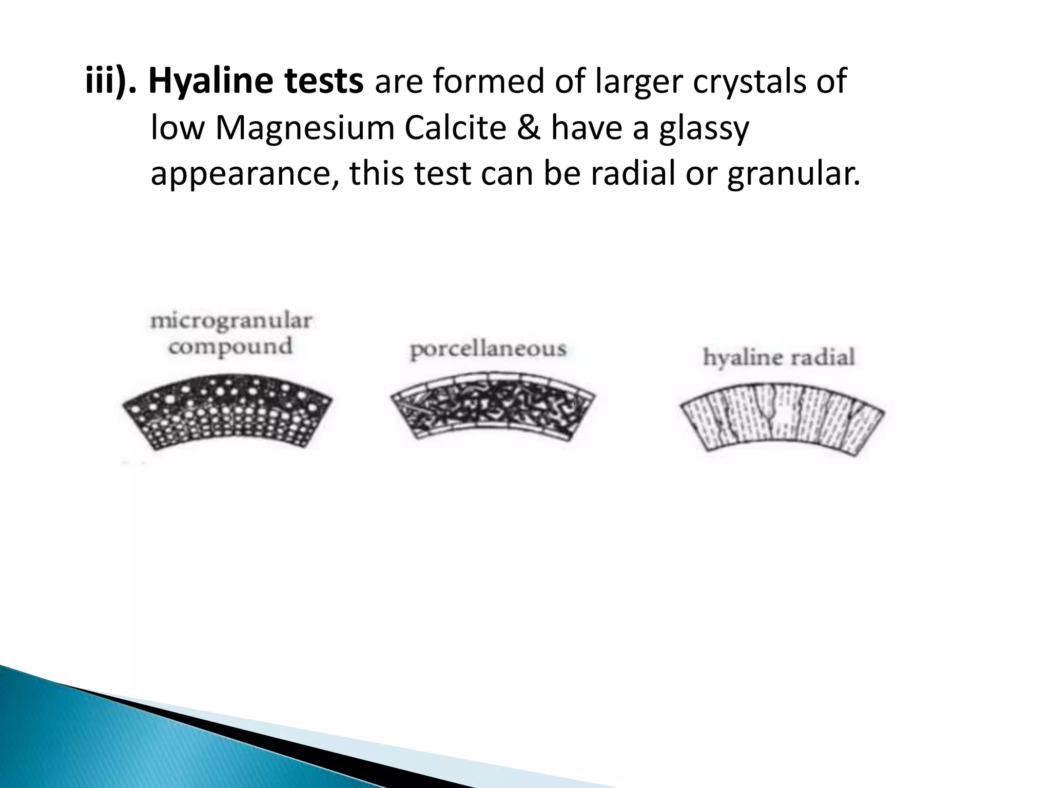 iii). Hyaline tests are formed of larger crystals of
low Magnesium Calcite & have a glassy
appearance, this test can be radial or granular.
 