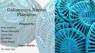 Calcareous Nanno
Plankton
Prepared by :
Omar Abdelaziz
Ahmed Mohamady
Yomna Zaid
Aya Hassan
Asmaa Khaled
Supervised by :
Dr. Saida Taha
 