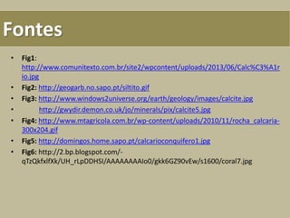 Fontes
• Fig1:
http://www.comunitexto.com.br/site2/wpcontent/uploads/2013/06/Calc%C3%A1r
io.jpg
• Fig2: http://geogarb.no.sapo.pt/siltito.gif
• Fig3: http://www.windows2universe.org/earth/geology/images/calcite.jpg
• http://gwydir.demon.co.uk/jo/minerals/pix/calcite5.jpg
• Fig4: http://www.mtagricola.com.br/wp-content/uploads/2010/11/rocha_calcaria-
300x204.gif
• Fig5: http://domingos.home.sapo.pt/calcarioconquifero1.jpg
• Fig6: http://2.bp.blogspot.com/-
qTzQkfxlfXk/UH_rLpDDHSI/AAAAAAAAIo0/gkk6GZ90vEw/s1600/coral7.jpg
 