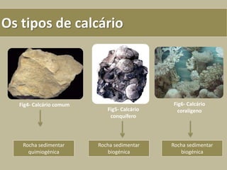 Os tipos de calcário
Fig4- Calcário comum
Rocha sedimentar
quimiogénica
Fig5- Calcário
conquífero
Rocha sedimentar
biogénica
Fig6- Calcário
coralígeno
Rocha sedimentar
biogénica
 