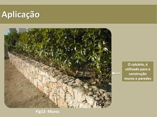 Aplicação
Fig12- Muros
O calcário, é
utilizado para a
construção
muros e paredes
 