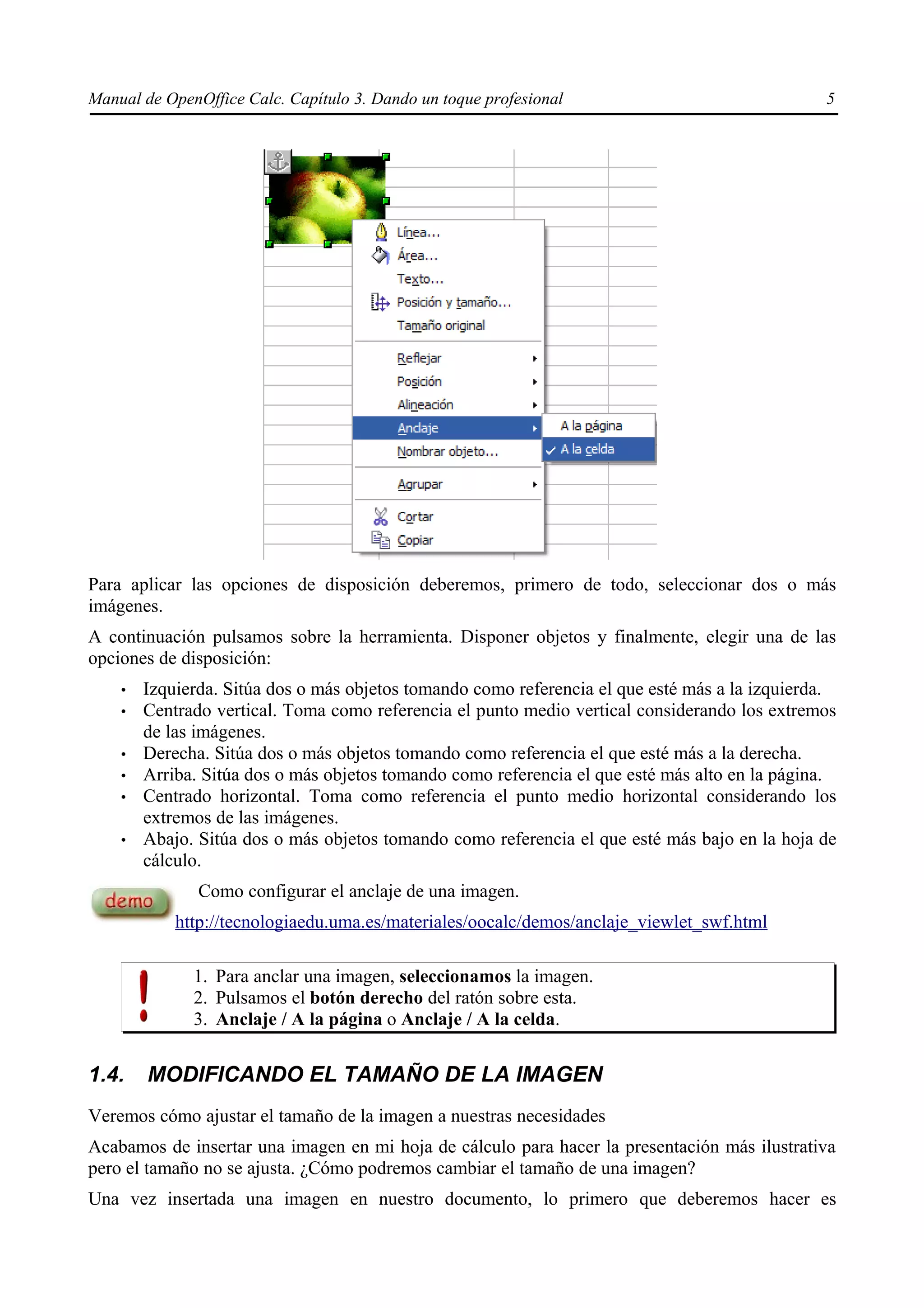 Manual de OpenOffice Calc. Capítulo 3. Dando un toque profesional                               5




Para aplicar las opciones de disposición deberemos, primero de todo, seleccionar dos o más
imágenes.
A continuación pulsamos sobre la herramienta. Disponer objetos y finalmente, elegir una de las
opciones de disposición:
    •   Izquierda. Sitúa dos o más objetos tomando como referencia el que esté más a la izquierda.
    •   Centrado vertical. Toma como referencia el punto medio vertical considerando los extremos
        de las imágenes.
    •   Derecha. Sitúa dos o más objetos tomando como referencia el que esté más a la derecha.
    •   Arriba. Sitúa dos o más objetos tomando como referencia el que esté más alto en la página.
    •   Centrado horizontal. Toma como referencia el punto medio horizontal considerando los
        extremos de las imágenes.
    •   Abajo. Sitúa dos o más objetos tomando como referencia el que esté más bajo en la hoja de
        cálculo.
               Como configurar el anclaje de una imagen.
            http://tecnologiaedu.uma.es/materiales/oocalc/demos/anclaje_viewlet_swf.html

              1. Para anclar una imagen, seleccionamos la imagen.
              2. Pulsamos el botón derecho del ratón sobre esta.
              3. Anclaje / A la página o Anclaje / A la celda.


1.4.    MODIFICANDO EL TAMAÑO DE LA IMAGEN
Veremos cómo ajustar el tamaño de la imagen a nuestras necesidades
Acabamos de insertar una imagen en mi hoja de cálculo para hacer la presentación más ilustrativa
pero el tamaño no se ajusta. ¿Cómo podremos cambiar el tamaño de una imagen?
Una vez insertada una imagen en nuestro documento, lo primero que deberemos hacer es
 