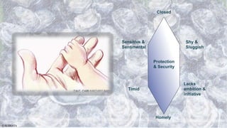 Sentimental Protection Calc Carb Behavioural MM.pptx