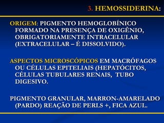 3.   HEMOSSIDERINA : ORIGEM :  PIGMENTO HEMOGLOBÍNICO FORMADO NA PRESENÇA DE OXIGÊNIO, OBRIGATORIAMENTE INTRACELULAR (EXTRACELULAR – É DISSOLVIDO). ASPECTOS MICROSCÓPICOS   EM MACRÓFAGOS OU CÉLULAS EPITELIAIS (HEPATÓCITOS, CÉLULAS TUBULARES RENAIS,  TUBO DIGESIVO. PIGMENTO GRANULAR, MARRON-AMARELADO (PARDO) REAÇÃO DE PERLS +, FICA AZUL. 