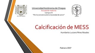 Calcificación de MESS
Humberto Luciano Pérez Rosales
Universidad Autónoma de Chiapas
Escuela de medicina
Campus IV
“Por la conciencia de la necesidad de servir”
Febrero 2017
 