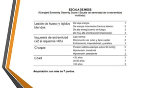 Calcificación de mess