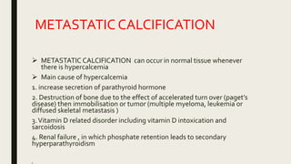 METASTATIC CALCIFICATION
 METASTATIC CALCIFICATION can occur in normal tissue whenever
there is hypercalcemia
 Main cause of hypercalcemia
1. increase secretion of parathyroid hormone
2. Destruction of bone due to the effect of accelerated turn over (paget’s
disease) then immobilisation or tumor (multiple myeloma, leukemia or
diffused skeletal metastasis )
3.Vitamin D related disorder including vitamin D intoxication and
sarcoidosis
4. Renal failure , in which phosphate retention leads to secondary
hyperparathyroidism
■
 