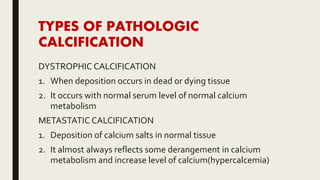 TYPES OF PATHOLOGIC
CALCIFICATION
DYSTROPHIC CALCIFICATION
1. When deposition occurs in dead or dying tissue
2. It occurs with normal serum level of normal calcium
metabolism
METASTATIC CALCIFICATION
1. Deposition of calcium salts in normal tissue
2. It almost always reflects some derangement in calcium
metabolism and increase level of calcium(hypercalcemia)
 