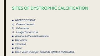 SITES OF DYSTROPHICCALCIFICATION
■ NECROTICTISSUE
a) Caseous necrosis
b) Fat necrosis
c) Liquifactive necrosis
■ Advanced atheromatous lesion
■ Hematoma
■ Thrombus
■ Infarct
■ Heart valve (example -sub acute infective endocarditis )
 