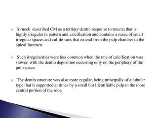  Torneck described CM as a tertiary dentin response to trauma that is
highly irregular in pattern and calcification and contains a maze of small
irregular spaces and cul-de-sacs that extend from the pulp chamber to the
apical foramen.
 Such irregularities were less common when the rate of calcification was
slower, with the dentin deposition occurring only on the periphery of the
pulp space.
 The dentin structure was also more regular, being principally of a tubular
type that is supported at times by a small but Identifiable pulp in the more
central portion of the root.
 