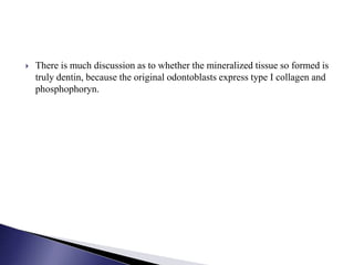  There is much discussion as to whether the mineralized tissue so formed is
truly dentin, because the original odontoblasts express type I collagen and
phosphophoryn.
 