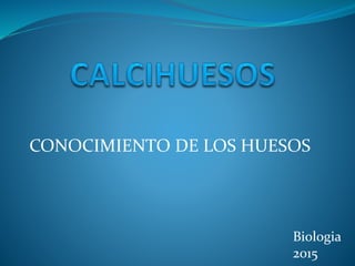 CONOCIMIENTO DE LOS HUESOS
Biologia
2015
 