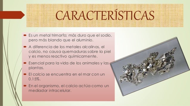 Que es Metabolismo basal ?
