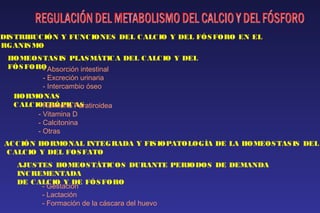 DISTRIBUCIÓN Y FUNCIONES DEL CALCIO Y DEL FÓSFORO EN EL 
ORGANISMO 
HOMEOSTASIS PLASMÁTICA DEL CALCIO Y DEL 
FÓSFORO- Absorción intestinal 
- Excreción urinaria 
- Intercambio óseo 
 
HORMONAS 
CALCIO- HToRrmÓoPnIaC PAaSratiroidea 
- Vitamina D 
- Calcitonina 
- Otras 
 
ACCIÓN  
HORMONAL INTEGRADA Y FISIOPATOLOGÍA DE LA HOMEOSTASIS DEL 
CALCIO Y DEL FOSFATO 
AJUSTES HOMEOSTÁTICOS DURANTE PERIODOS DE DEMANDA 
INCREMENTADA 
DE CAL- CGeIOst aYc ióDnE FÓSFORO 
- Lactación 
- Formación de la cáscara del huevo 
 
 