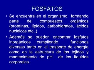 FOSFATOS
• Se encuentra en el organismo formando
parte de compuestos orgánicos
(proteínas, lípidos, carbohidratos, ácidos
nucleicos etc..)
• Además se pueden encontrar fosfatos
inorgánicos cumpliendo funciones
diversas tanto en el trasporte de energía
como en la estructura de los tejidos y
mantenimiento de pH de los líquidos
corporales.
 