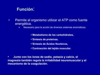 Función:
• Permite al organismo utilizar el ATP como fuente
energética.
 Necesario para la acción de diversos sistemas enzimáticos.
Metabolismo de los carbohidratos,
Síntesis de proteínas,
Síntesis de Ácidos Nucleicos,
Contracción del tejido muscular.
• Junto con los iones de sodio, potasio y calcio, el
magnesio también regula la irritabilidad neuromuscular y el
mecanismo de la coagulación.
 