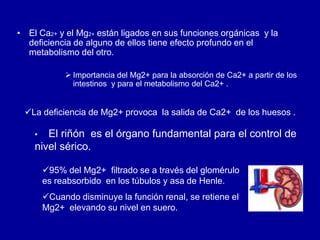 • El Ca2+ y el Mg2+ están ligados en sus funciones orgánicas y la
deficiencia de alguno de ellos tiene efecto profundo en el
metabolismo del otro.
 Importancia del Mg2+ para la absorción de Ca2+ a partir de los
intestinos y para el metabolismo del Ca2+ .
La deficiencia de Mg2+ provoca la salida de Ca2+ de los huesos .
95% del Mg2+ filtrado se a través del glomérulo
es reabsorbido en los túbulos y asa de Henle.
Cuando disminuye la función renal, se retiene el
Mg2+ elevando su nivel en suero.
• El riñón es el órgano fundamental para el control de
nivel sérico.
 