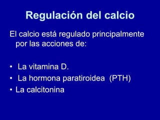 Regulación del calcio
El calcio está regulado principalmente
por las acciones de:
• La vitamina D.
• La hormona paratiroidea (PTH)
• La calcitonina
 