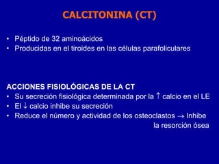 CALCITONINA (CT)
• Péptido de 32 aminoácidos
• Producidas en el tiroides en las células parafoliculares
ACCIONES FISIOLÓGICAS DE LA CT
• Su secreción fisiológica determinada por la  calcio en el LE
• El  calcio inhibe su secreción
• Reduce el número y actividad de los osteoclastos  Inhibe
la resorción ósea
 