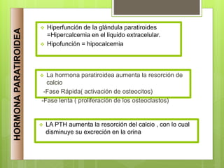  Hiperfunción de la glándula paratiroides
=Hipercalcemia en el liquido extracelular.
 Hipofunción = hipocalcemia
HORMONA
PARATIROIDEA
 La hormona paratiroidea aumenta la resorción de
calcio
-Fase Rápida( activación de osteocitos)
-Fase lenta ( proliferación de los osteoclastos)
 LA PTH aumenta la resorción del calcio , con lo cual
disminuye su excreción en la orina
 