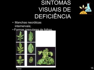 • Manchas necróticas
internervais;
• Formas irregulares de folhas.
SINTOMAS
VISUAIS DE
DEFICIÊNCIA
Fonte: Haifa
Group 15
 
