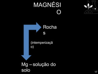 MAGNÉSI
O
Rocha
s
(intemperizaçã
o)
17
Mg – solução do
solo
 