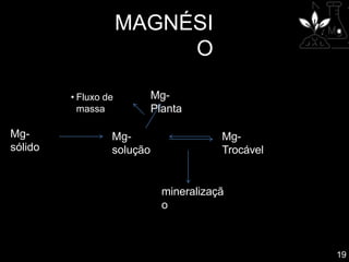 MAGNÉSI
O
Mg-
sólido
Mg-
solução
Mg-
Trocável
Mg-
Planta
mineralizaçã
o
19
• Fluxo de
massa
 