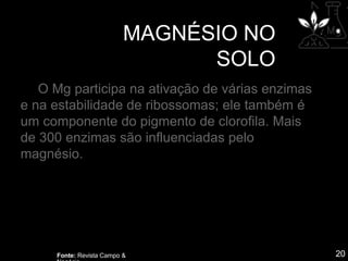 MAGNÉSIO NO
SOLO
20
Fonte: Revista Campo &
O Mg participa na ativação de várias enzimas
e na estabilidade de ribossomas; ele também é
um componente do pigmento de clorofila. Mais
de 300 enzimas são influenciadas pelo
magnésio.
 