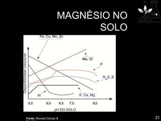 MAGNÉSIO NO
SOLO
21
Fonte: Revista Campo &
 