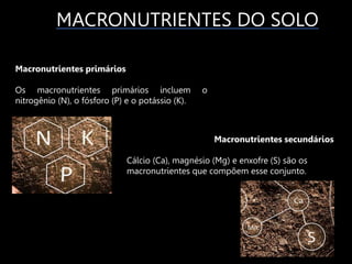 MACRONUTRIENTES DO SOLO
Macronutrientes primários
Os macronutrientes primários incluem o
nitrogênio (N), o fósforo (P) e o potássio (K).
Macronutrientes secundários
Cálcio (Ca), magnésio (Mg) e enxofre (S) são os
macronutrientes que compõem esse conjunto.
 