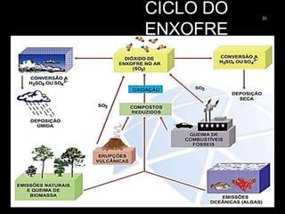 CICLO DO
ENXOFRE
30
 