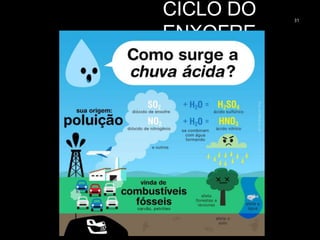 CICLO DO
ENXOFRE
31
 