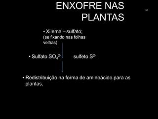 ENXOFRE NAS
PLANTAS
32
• Xilema – sulfato;
(se fixando nas folhas
velhas)
• Sulfato SO4
2- sulfeto S2-
• Redistribuição na forma de aminoácido para as
plantas.
 