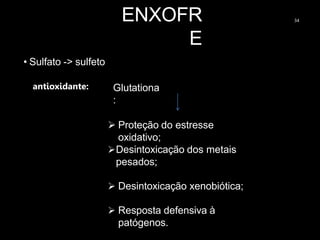 ENXOFR
E
34
• Sulfato -> sulfeto
Glutationa
:
 Proteção do estresse
oxidativo;
Desintoxicação dos metais
pesados;
 Desintoxicação xenobiótica;
 Resposta defensiva à
patógenos.
antioxidante:
 