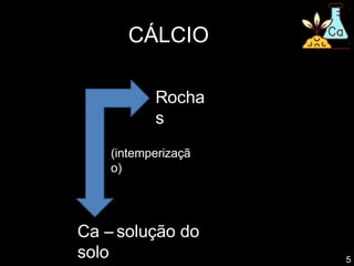 CÁLCIO
Rocha
s
(intemperizaçã
o)
5
Ca – solução do
solo
 