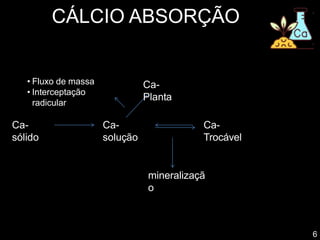 CÁLCIO ABSORÇÃO
Ca-
sólido
Ca-
solução
Ca-
Trocável
Ca-
Planta
mineralizaçã
o
6
• Fluxo de massa
• Interceptação
radicular
 