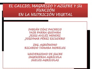 EL CALCIO, MAGNESIO Y AZÚFRE Y SU
FUNCIÓN
EN LA NUTRICIÓN VEGETAL

 