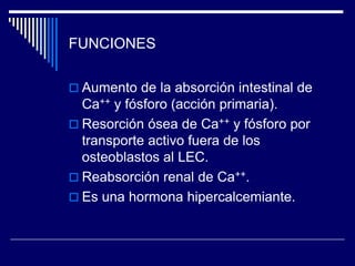 EFECTOS FISIOLÓGICOS DE LA CALCITONINA
 Protege contra la hipercalcemia posprandial.
 Da protección a los huesos de la m...