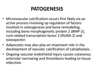PATOGENESIS
• Microvascular calcification occurs first likely via an
active process involving up regulation of factors
involved in osteogenesis and bone remodeling,
including bone morphogenetic protein 2 (BMP-2),
runt-related transcription factor 2 (RUNX-2) and
osteopontin
• Adipocytes may also play an important role in the
development of vascular calcification of calciphylaxis .
• Ongoing vascular endothelial injury causes cutaneous
arteriolar narrowing and thrombosis leading to tissue
infarction
 