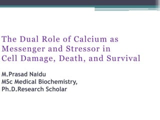 The Dual Role of Calcium as
Messenger and Stressor in
Cell Damage, Death, and Survival
M.Prasad Naidu
MSc Medical Biochemistry,
Ph.D.Research Scholar
 
