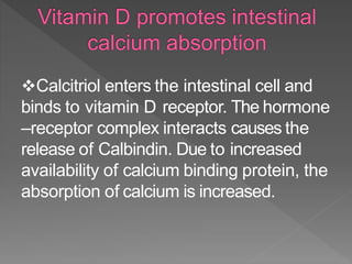 Calcitriol enters the intestinal cell and
binds to vitamin D receptor. The hormone
–receptor complex interacts causes the
release of Calbindin. Due to increased
availability of calcium binding protein, the
absorption of calcium is increased.
 