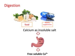 Digestion
Calcium as insoluble salt
food
dietary
supplements
Acidic
PH
1 hour
Free soluble Ca2+
 