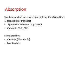 Absorption
Tow transport process are responsible for the absorption :
1. Transcellular transport
• Epithelial Ca channel .e.g: TRPV6
• Calbindin D9K , CRP.
Stimulated by :
- Calcitriol ( Vitamin D )
- Low Ca diets
 