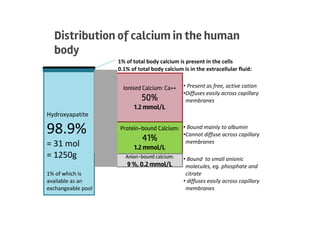 Distribution of calcium in the human
body
Hydroxyapatite
98.9%
= 31 mol
= 1250g
1% of which is
available as an
exchangeable pool
0.1% of total body calcium is in the extracellular fluid:
Ionised Calcium: Ca++
50%
1.2 mmol/L
1% of total body calcium is present in the cells
Protein-bound Calcium:
41%
1.2 mmol/L
Anion-bound calcium:
9 %, 0.2 mmol/L
• Present as free, active cation
•Diffuses easily across capillary
membranes
• Bound mainly to albumin
•Cannot diffuse across capillary
membranes
• Bound to small anionic
molecules, eg. phosphate and
citrate
• diffuses easily across capillary
membranes
 