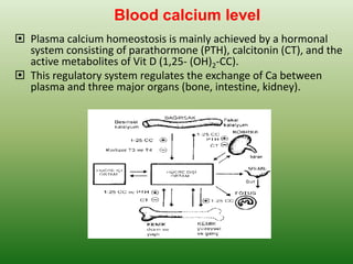  Plasma calcium homeostosis is mainly achieved by a hormonal
system consisting of parathormone (PTH), calcitonin (CT), and the
active metabolites of Vit D (1,25- (OH)2-CC).
 This regulatory system regulates the exchange of Ca between
plasma and three major organs (bone, intestine, kidney).
Blood calcium level
 