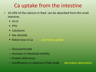 Ca uptake from the intestine
• 10-20% of the calcium in feed can be absorbed from the small
intestine.
 Vit D
 PTH
 Calcitonin
 Sex steroids
 Ration low in Ca promotes uptake
– Glucocorticoids
– Increase in Intestinal motility
– Protein deficiency
– Insufficiency or absence of bile acids decreases absorption
 