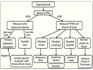Hypocalcemia Rta calcium, hypercalcemia, hypocalcemia ppt | PPTX