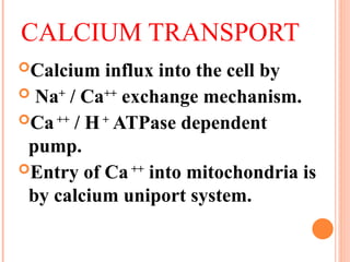 EASY WAY TO READ ABOUT MINERALS CALCIUM. | PPT