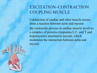 EXCITATION–CONTRACTION
COUPLING MUSCLE
Contraction of cardiac and other muscle occurs
from a reaction between actin and myosin
the contractile process in cardiac muscle involves
a complex of proteins (troponins I, C, and T and
tropomyosin) attached to myosin, which
modulates the interaction between actin and
myosin.
 